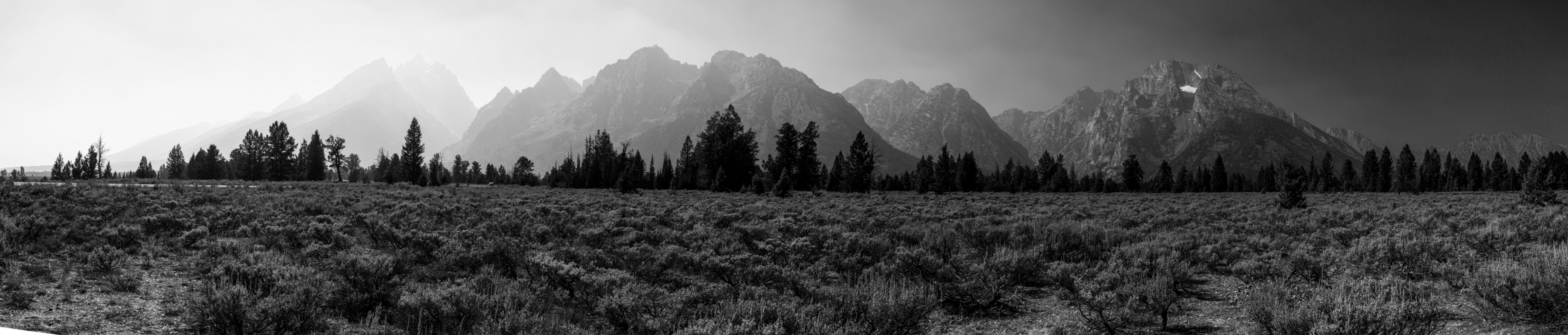 Tetons View